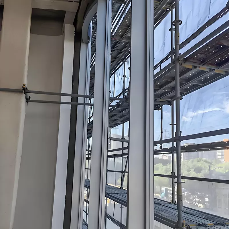 T formos plonas plienas